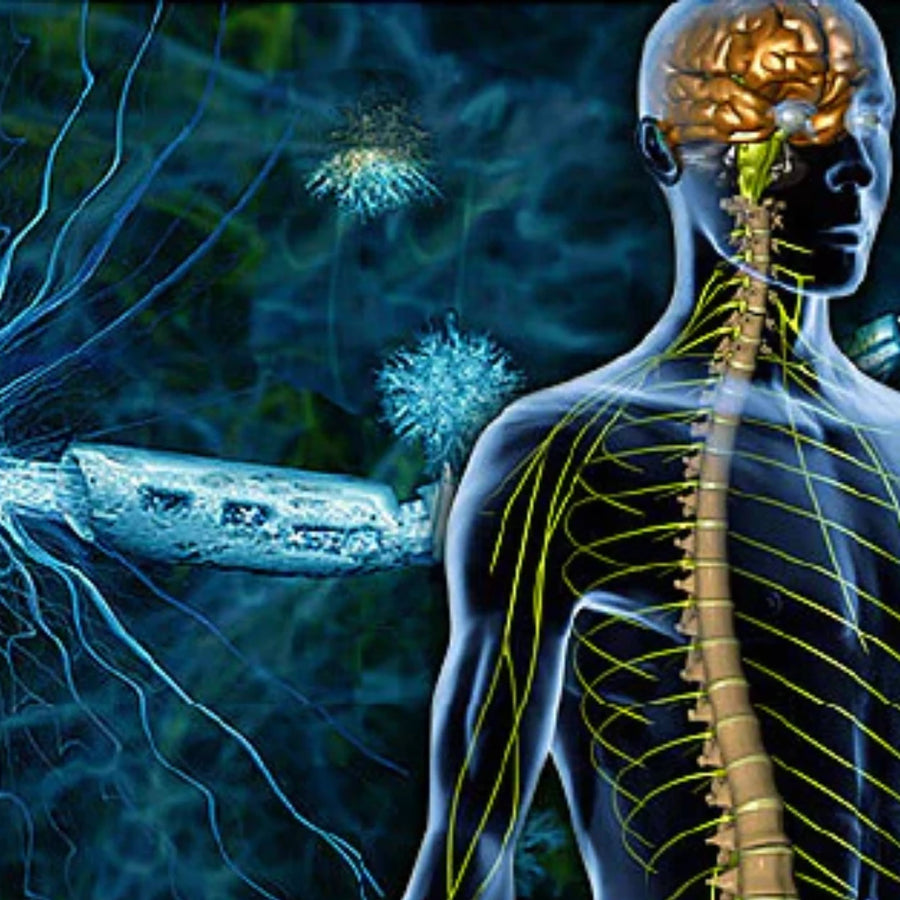 Multiple Sclerosis