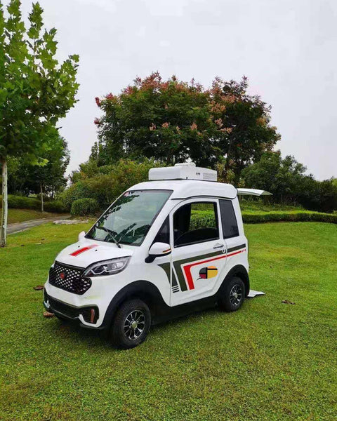 Microcar de cadeira de rodas elétrica echariot
