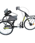Rowing Bike Wheelchair Attachment - Inclusive Inc