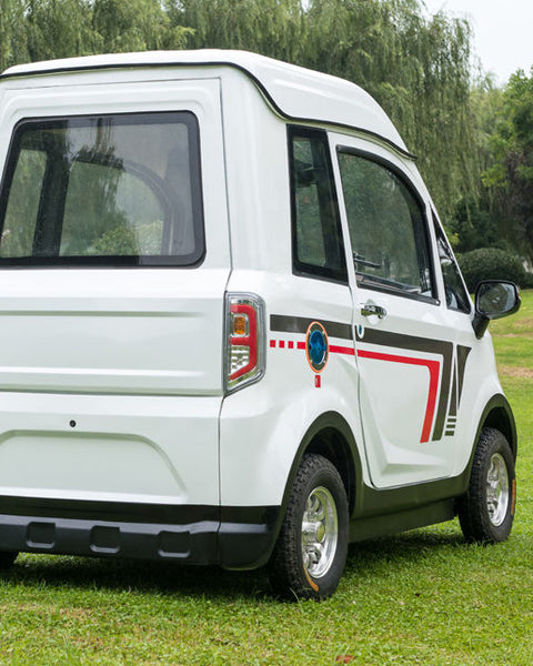 Microcar de cadeira de rodas elétrica echariot