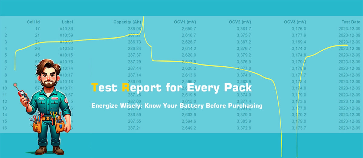 Premium Rolling 51.2V 15kWh LiFePO4 Battery - Inclusive Inc