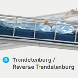 Freedom Bed - Automatic Lateral Rotation - Broadened Horizons Direct